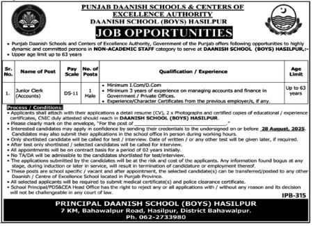 Punjab Daanish Schools Hasilpur Job 2025